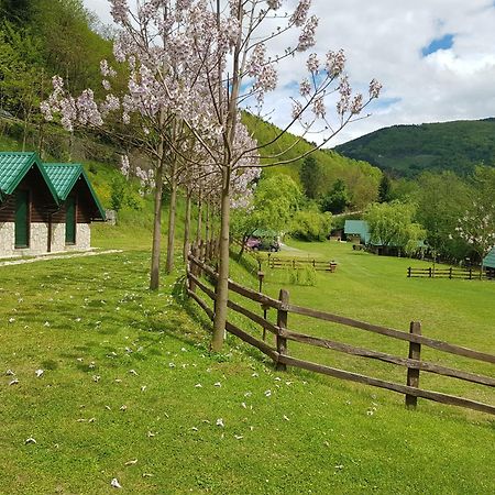 פוצ'ה Camping Drina מראה חיצוני תמונה