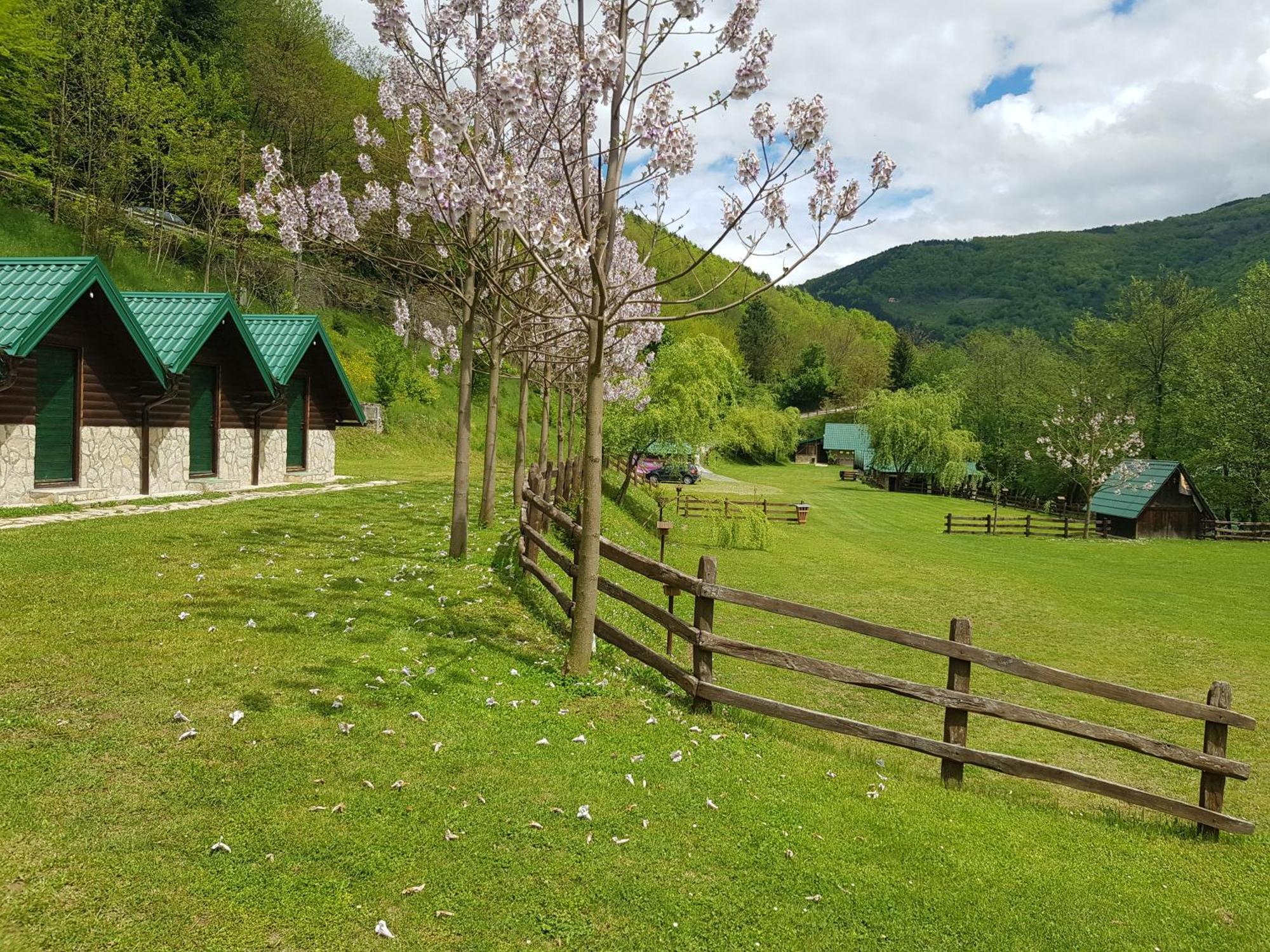 פוצ'ה Camping Drina מראה חיצוני תמונה