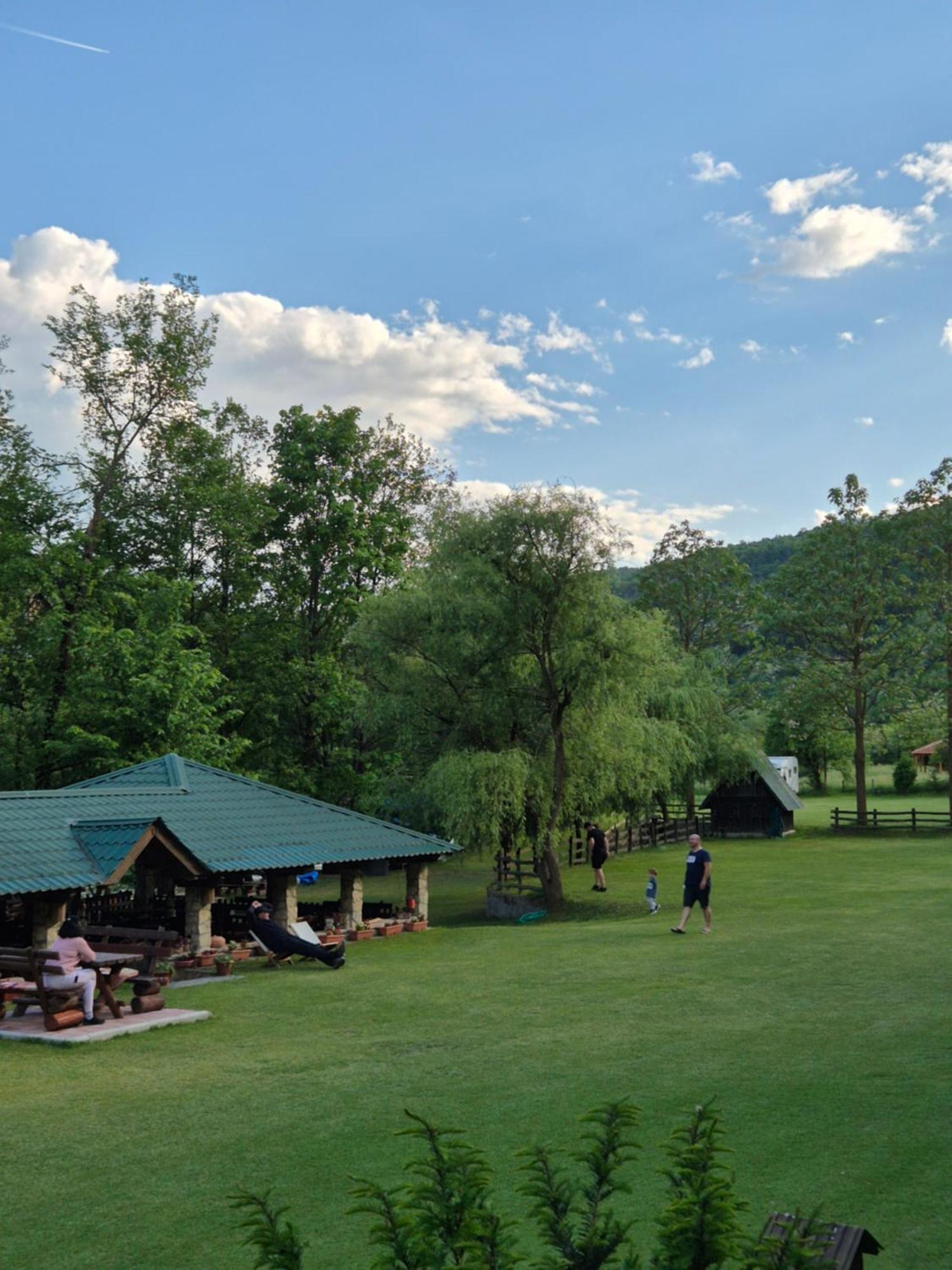 פוצ'ה Camping Drina מראה חיצוני תמונה